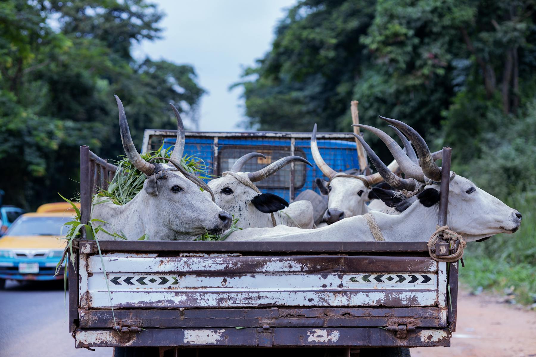 Cargo movement through southern Nigeria transport route